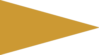 [club flag]