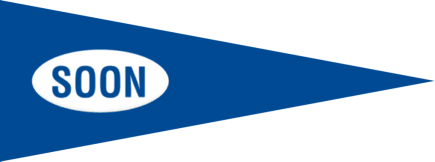 [club flag]