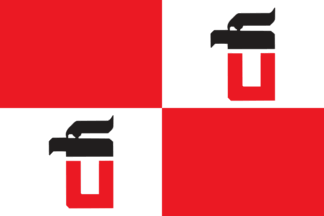 [club flag]