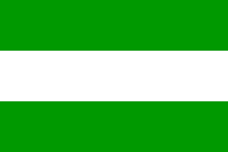 Tarapoto city flag