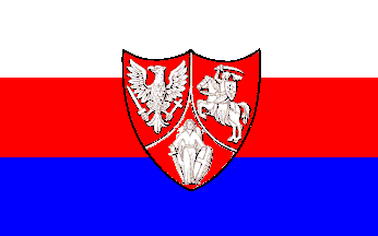 [January Uprising (1863-1864) flag]