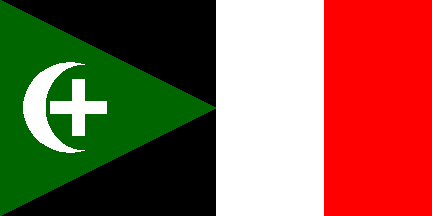 [Proposed Flag (1929, Palestine)]