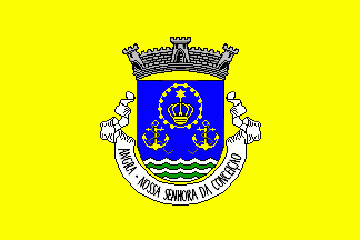 [Nossa Senhora da Conceição (Angra dH) commune flag]