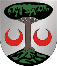 Arganil municipal CoA