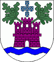[Arronches municipality CoA]