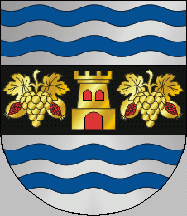 [Castelo de Paiva municipality CoA]