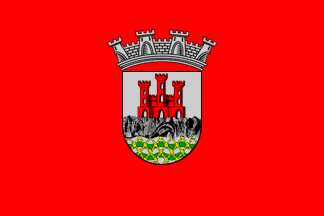 [Cascais municipal flag wo/ scroll]