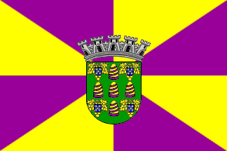 [Funchal commune w/o scroll]