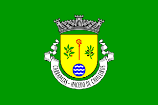 [Carrapatas commune]