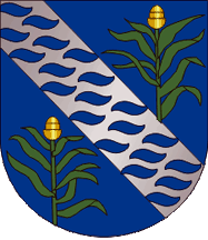 [Machico municipal CoA]