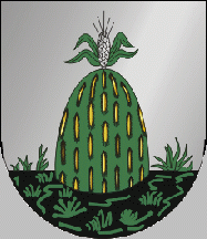 [Mêda municipality CoA]