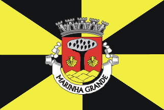 [Marinha Grande (city9municipal flag #2]