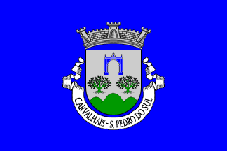 [Carvalhais commune flag (until 2013)]
