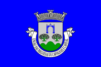 [Carvalhais e Candal united commune flag]