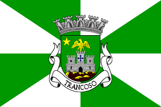 [Trancoso municipal flag]