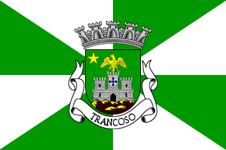 [Trancoso municipal flag #2]
