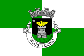 [Trancocso municipal flag variant]