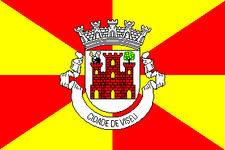[Viseu municipal flag]
