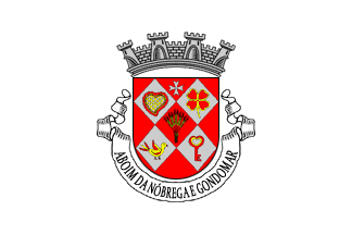 [Aboim da Nóbrega e Gondomar united commune flag]