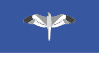 Flag of Mechetlinsky District 