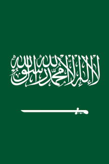 [Vertical Saudi Arabian flag]