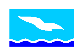 Burevestnik club flag