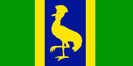 [Provisional first flag]