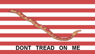 [First Navy Jack flag]