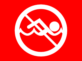 [Florida beach flag]