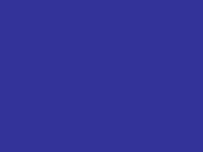 [Florida beach flag]