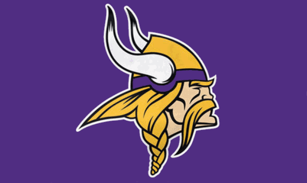 Minnesota Vikings flag
