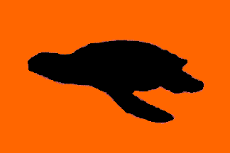 [Flag of Austin County, Texas]