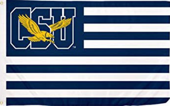 [Supporters flag]