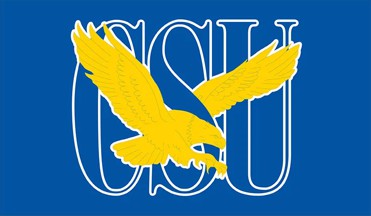 [Supporters flag]