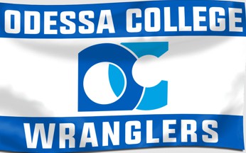 [Supporters flag]