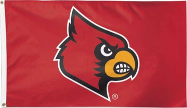 [supporters flag]