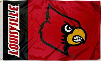[supporters flag]