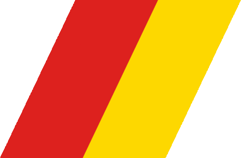 [Vietnam Fisheries Surveillance racing stripe]