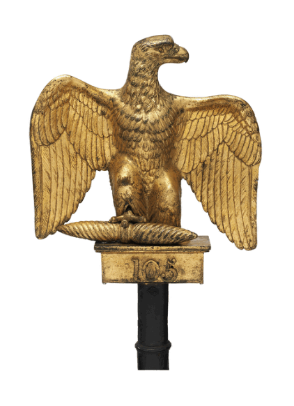 aquila