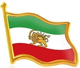 [flag pin]