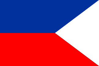 [surrogate flag]