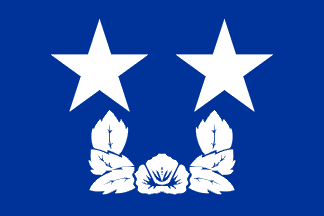Flag rank example
