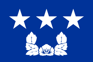 Flag rank example