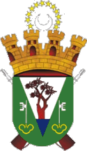 [Flag of Adolfo Alsina District]