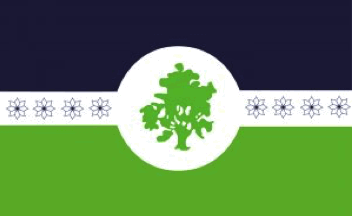 [Flag of Coronel Suarez District]