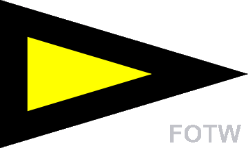 Beach yellow and black flag
