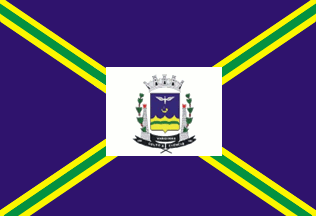 [Flag of Varginha, Minas Gerais