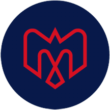 [Montreal Alouettes Logo Type #3 since 2019]