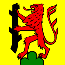 [Flag of Dürrenäsch]