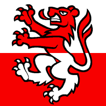 [Flag of Rüderswil]